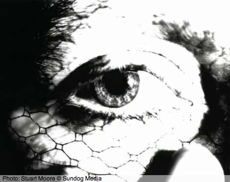 Stuart's photo of Kayla's eye taken for the film Cage of Flame