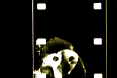 Digital photo of 16mm film frame, before cropping and colour harmonisation