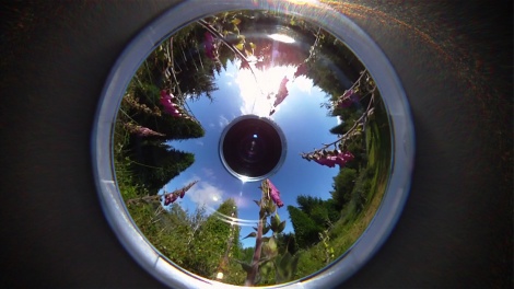 still from the 360 film Nectar, panoramic ring created at the Arboretum, Burrator