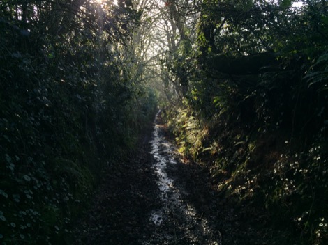 kayla-parker_on-location_documentation_17-01-03_frozen_stream