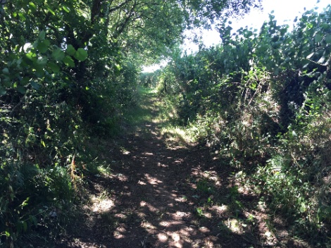 kayla_parker_on_location_documentation_16-08-16_01-by_the_greenway