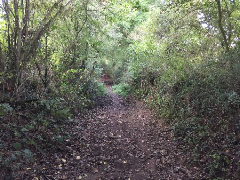 kayla_parker_on_location_documentation_16-09-18_01-back_along_the_bottom