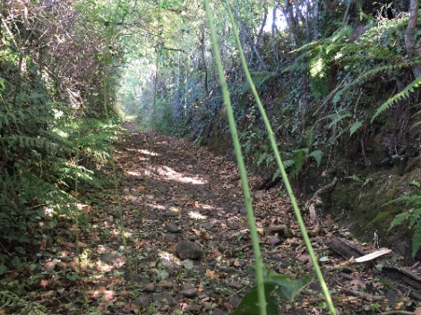 kayla_parker_on_location_documentation_16-10-09