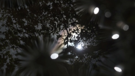 kayla_parker_on_location_filmstill_04