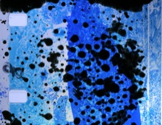 purling-2020-parker-moore-16mm3-235