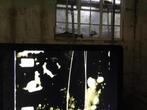 kayla_parker_+_stuart_moore_reach_primordial