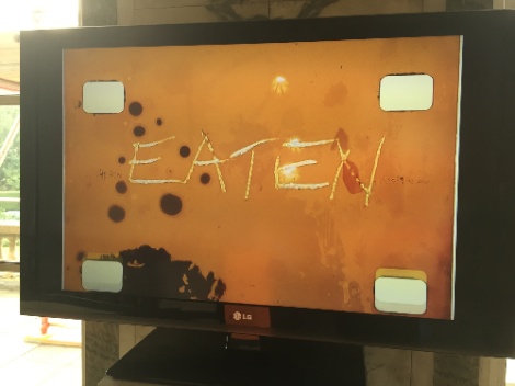 kayla_parker_+_stuart_moore_reach_rwa