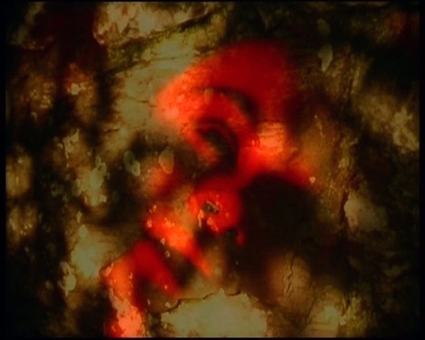 kayla_parker+stuart_moore_a_short_walk