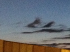 ￼￼kayla_parker_moon1_15_01_21