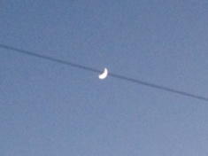 ￼￼kayla_parker_moon1_15_04_22