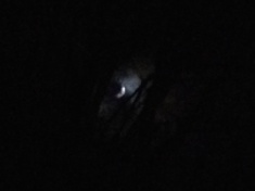 ￼￼kayla_parker_moon1_15_11_17