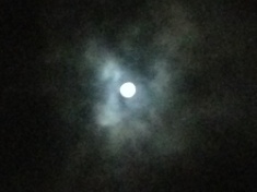 ￼￼kayla_parker_moon1_15_11_26