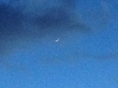 ￼￼kayla_parker_moon1_16_01_12