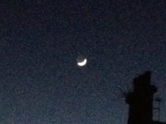 ￼￼kayla_parker_moon1_16_02_10