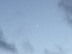 ￼￼kayla_parker_moon1_16_04_09