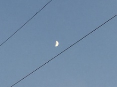 ￼￼kayla_parker_moon1_16_05_13