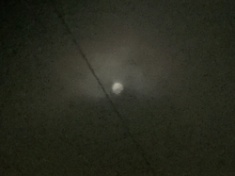 ￼￼kayla_parker_moon1_16_05_22