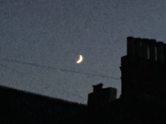 ￼￼kayla_parker_moon1_16_06_08