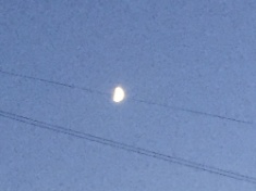 ￼￼kayla_parker_moon1_16_07_11