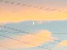 ￼￼kayla_parker_moon1_16_09_06