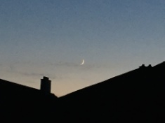 ￼￼kayla_parker_moon1_16_10_03