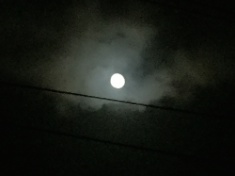 ￼￼kayla_parker_moon1_16_10_16