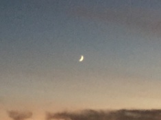 ￼￼kayla_parker_moon1_16_11_02