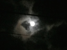 ￼￼kayla_parker_moon1_16_12_13