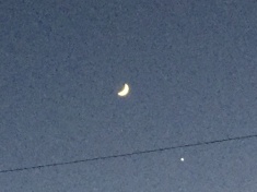 ￼￼kayla_parker_moon1_17_01_02