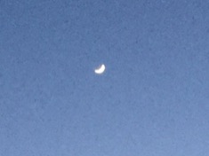 ￼￼kayla_parker_moon1_17_03_01