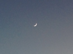 ￼￼kayla_parker_moon2_14_12_24