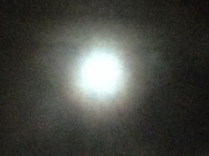 ￼￼kayla_parker_moon2_15_01_03