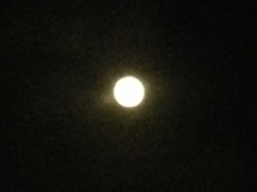 ￼￼kayla_parker_moon2_15_06_03