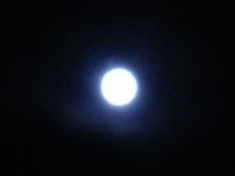 ￼￼kayla_parker_moon2_15_12_24