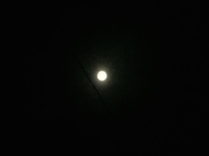 ￼￼kayla_parker_moon2_16_05_22