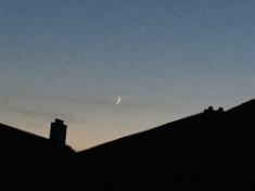 ￼￼kayla_parker_moon2_16_10_03