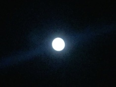 ￼￼kayla_parker_moon2_16_11_13