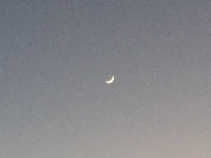 ￼￼kayla_parker_moon2_16_12_02