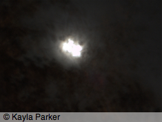 Colour photo of moon, taken just after 7.30pm in back garden Plymouth