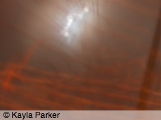 Kayla's photo of the moon, hand-held from under the birch tree in the garden