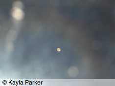 Kayla's photo of the moon - one day off full through bedroom window