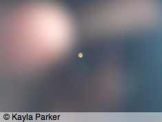 Full moon photo taken hand-held from bedroom window