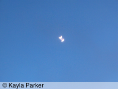 kayla's first photo of the new crescent moon, hand-held at arms length