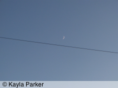 kayla's photo of the new crescent moon, taken hand-held from back garden over to May Terrace