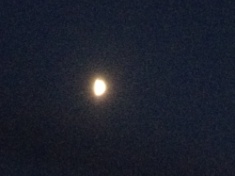 kayla_parker_moon1_15_08_23