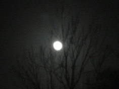 kayla_parker_moon1_18_11_22