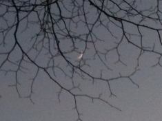 second photo of early crescent moon