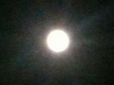 second photo of harvest moon, from the back doorstep