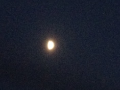 kayla_parker_moon2_15_08_23