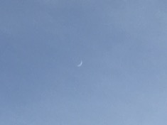 kayla_parker_moon2_19-03-11